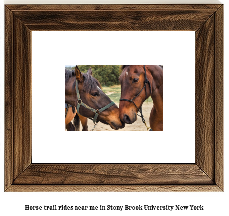 horse trail rides near me in Stony Brook University, New York